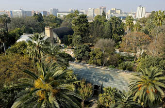 Jardí Botànic de la Universitat de València.